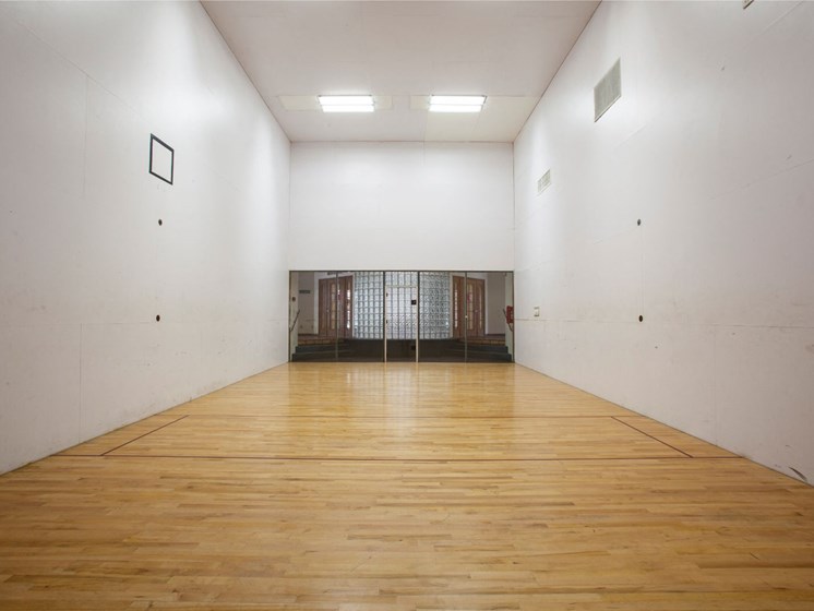 On-Site Community Racquetball Court at Cinnamon Tree Apartments in Albuquerque, MN
